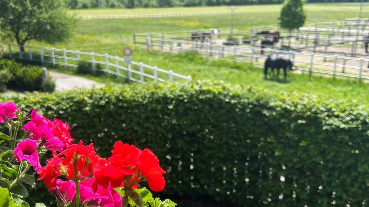 Villa Rosa-Panorama App Haslach ภายนอก รูปภาพ